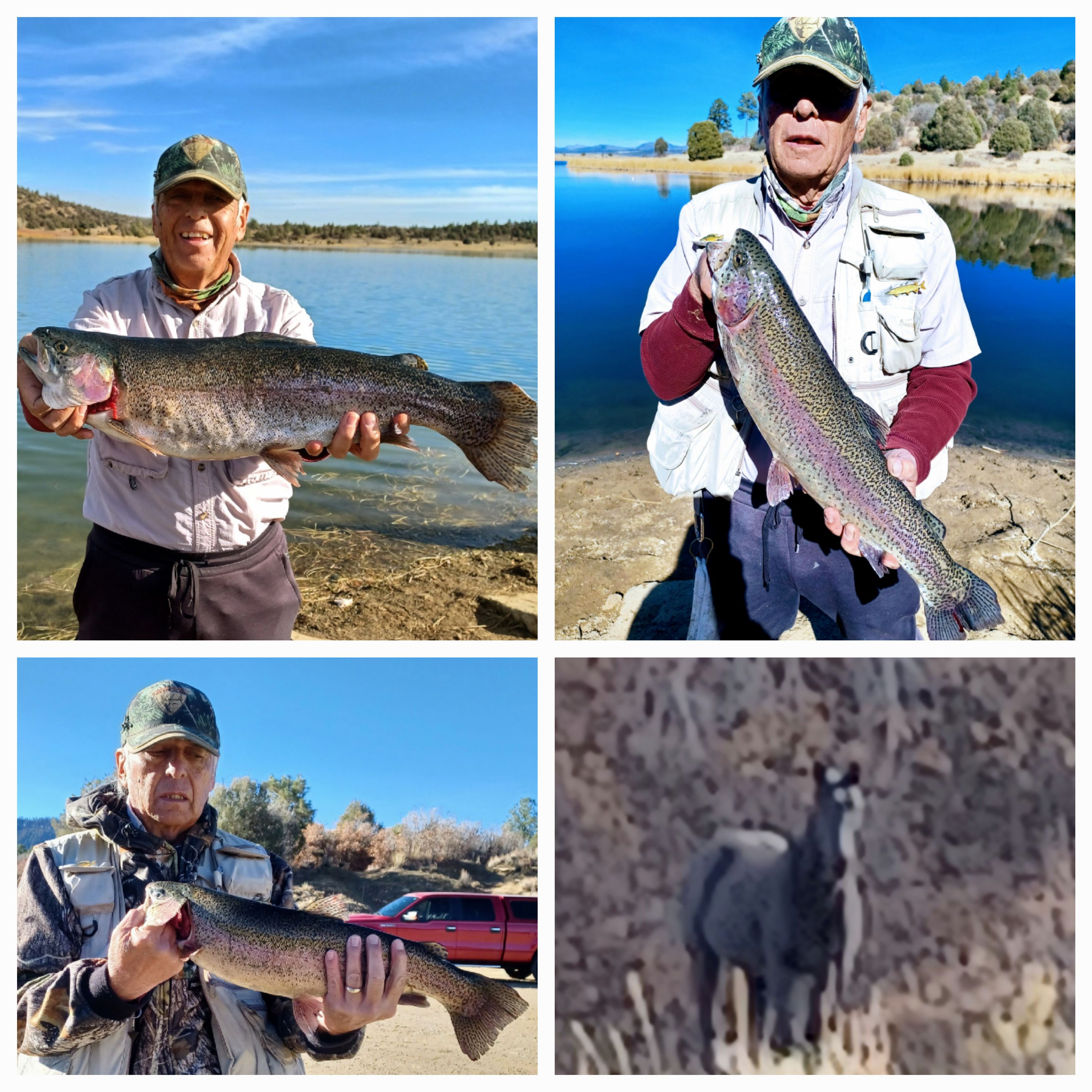 New Mexico fishing and stocking report for March 14